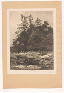 Rådjur i utkanten av en skog Daims dans un parc (titel på objekt) av Karl Bodmer