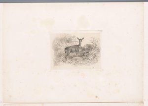 Hindu i skogen Landskap med djur (serietitel) av Karl Bodmer