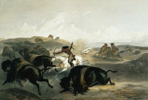 Indians Hunting the Bison, plåt 31 från volym 2 av 
