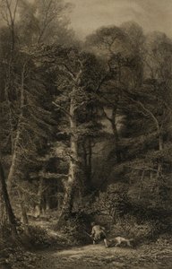 Skogens interiör av Karl Bodmer