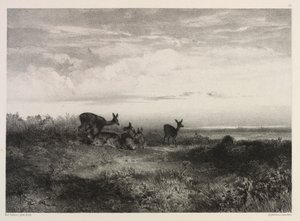 Landskap med rådjur av Karl Bodmer