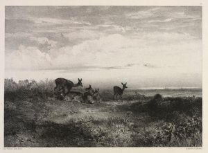 Landskap med rådjur, ca. 1840. av Karl Bodmer