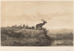 Morgonen. av Karl Bodmer