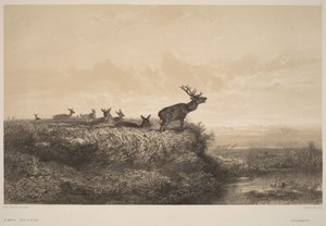 Morgonen av Karl Bodmer