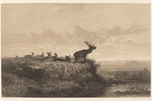 Morgonen. Rådjur och hindar. av Karl Bodmer
