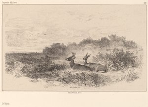 Resten av Karl Bodmer