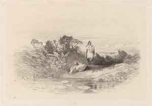 De två hägerna av Karl Bodmer