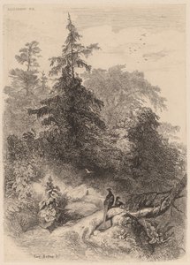Fasanerna. av Karl Bodmer