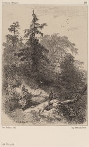 Fasaner av Karl Bodmer