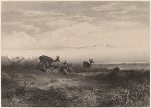 Hinderna. av Karl Bodmer