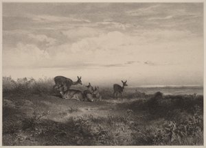 Hindarna av Karl Bodmer