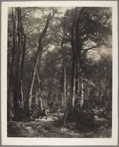 Mannen i skogen av Karl Bodmer