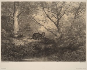 Vildsvinskultingar av Karl Bodmer