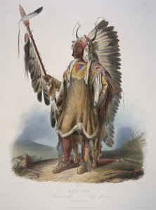 Mato-Tope, en Mandan-hövding av Karl Bodmer