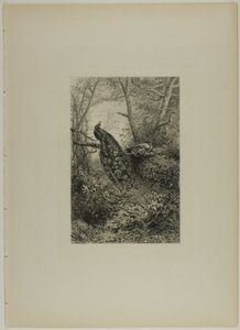 Påfåglar på en gren av Karl Bodmer