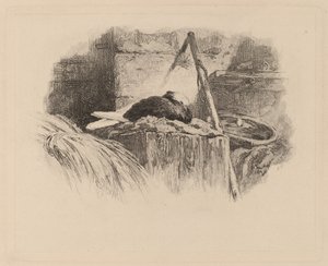 duva på ett bo av Karl Bodmer
