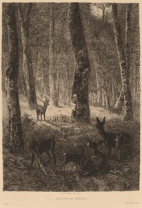 Tillbaka hem av Karl Bodmer