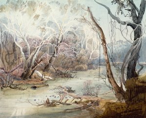 Fox River nära New Harmony, Indiana av Karl Bodmer