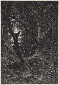 Två björnar i skogen av Karl Bodmer