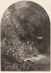 Ett hörn av trädgården av Karl Bodmer