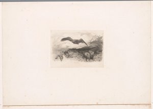 flygande örn Landskap med djur (serietitel) av Karl Bodmer