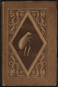mästarloppan. A Fairy Tale in Seven Adventures of Two Friends (Master Flea: A Fairy-Tale in Seven Adventures of Two Friends av Karl Friedrich Thiele, Ernst Theodor Amadeus Hoffmann