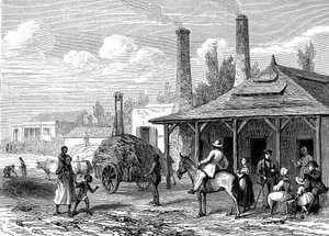 Sockerplanta i Mauritius 1863. Le T du Monde Paris 1863 Utgivare