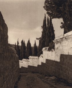 Jerusalem, Getsemane trädgård (s/v foto) av Karl Grober