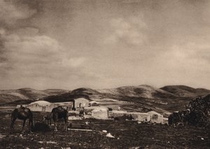 Samaria, utsikt från ruinerna av Herodes palats (s/v foto) av Karl Grober
