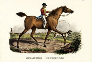 Engelsk tävlingshäst, 1824 av Karl Joseph Brodtmann