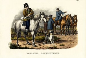 Tyska bondhästar, 1824 av Karl Joseph Brodtmann