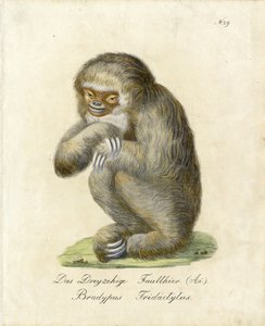  av Karl Joseph Brodtmann