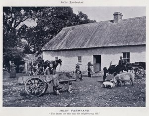 Irish Farmyard (s/v foto)