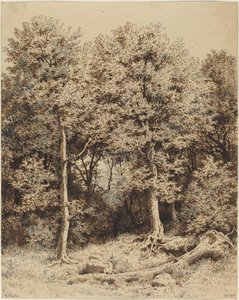 En skog av träd av Karl Theodor Reiffenstein