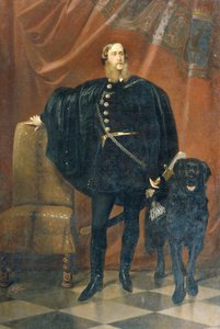 János Graf Pálffy ab Erdöd (1829–1908)