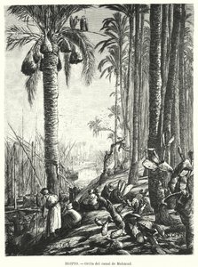 Bankerna vid Mahmoudiyah-kanalen, Egypten (litho)