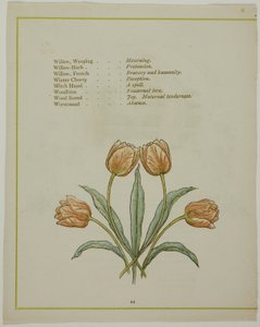 Dekorativ illustration, från The Illuminated Language of Flowers av Kate Greenaway