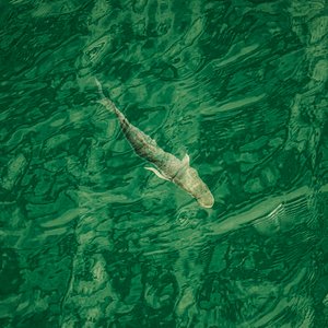 In Deep Water (till höger), 2021 (foto)