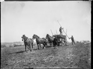 Broomfield, Broomfield And Kingswood, Maidstone, Kent, 1904-04-06 (s/v foto)
