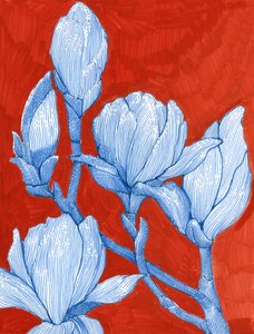 Djärva blå magnolior av Katie O'Shea