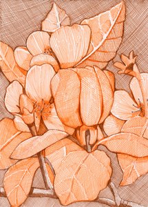 Skrafferade orange blommor av Katie O'Shea