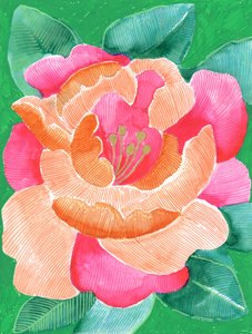 Livfull blomsterblomning av Katie O'Shea