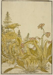 Vårblommor: violer och maskrosor, från boken "Mirror of Beautiful Women of the Pleasure Quarters (Seiro bijin awase sugata kagami)," vol. 1 av Katsukawa Shunsho