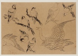 Fåglar, Edo-perioden, sent 1700-tidigt 1800-tal. av Katsushika Hokusai