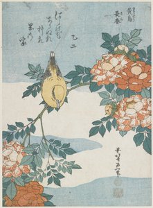 Black-Naped Oriole och China Rose, ca. 1833 av Katsushika Hokusai