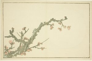 Blooming Plum Tree, från The Picture Book of Realistic Paintings of Hokusai (Hokusai shashin gafu) av Katsushika Hokusai