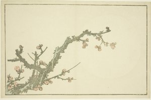 Blommande plommonträd, från The Picture Book of Realistic Paintings of Hokusai (Hokusai shashin gafu), ca 1814 (träsnitt i färg (albumblad)) av Katsushika Hokusai