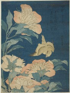 Canary and Peony (Canary, shakuyaku), från en namnlös serie av blommor och fåglar av Katsushika Hokusai