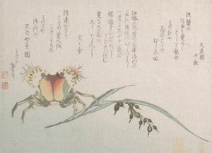 Krabba och risväxt, 1800-talet. av Katsushika Hokusai