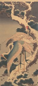 Tranor på gren av snötäckt tall, sent 1820-tal. av Katsushika Hokusai